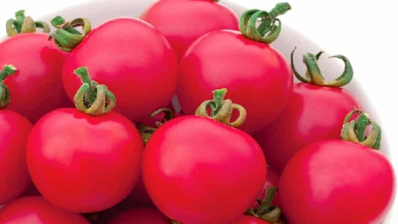 Les particularités de la tomate hybride Pink Paradise qui vous font adorer