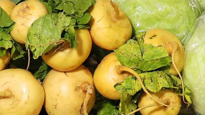 Jaký je rozdíl mezi rutabaga a tuřín a jak je rozlišit