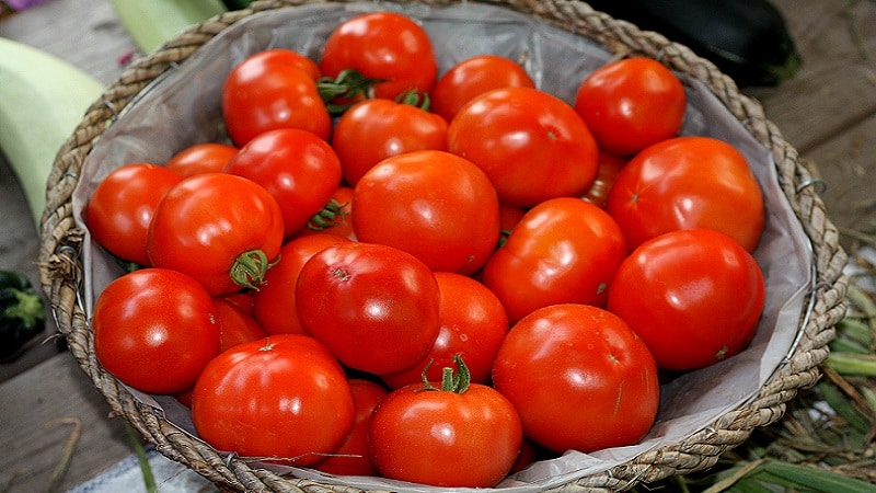 Tomàquet híbrid Bella Rosa i com cultivar-lo correctament