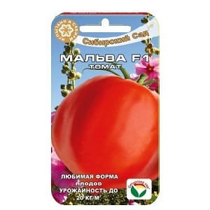 Easy variety for salads and canning - hybrid tomato Malva f1