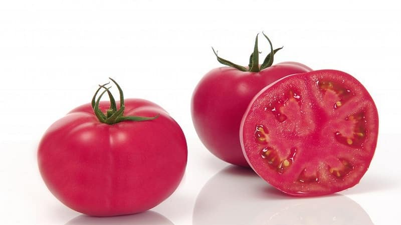 Híbrido producido por criadores japoneses: tomate de impresión rosa y los matices de su cultivo.