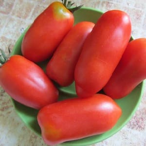 Hasil yang tinggi dan tahan lama dengan penjagaan yang betul - Tomato Khokhloma dan rahsia penanamannya