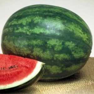 Late watermelon Chill: γιατί το λατρεύουν οι αγρότες και πώς να το καλλιεργήσουν σωστά