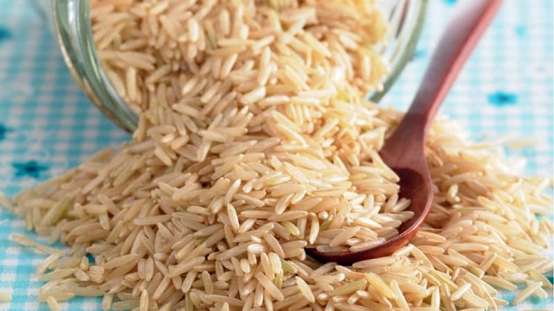 Por qué el arroz integral es bueno para bajar de peso y cómo cocinarlo