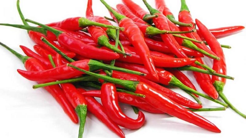 Ang mga benepisyo sa kalusugan ng cayenne pepper at kung paano ito palaguin ng tama