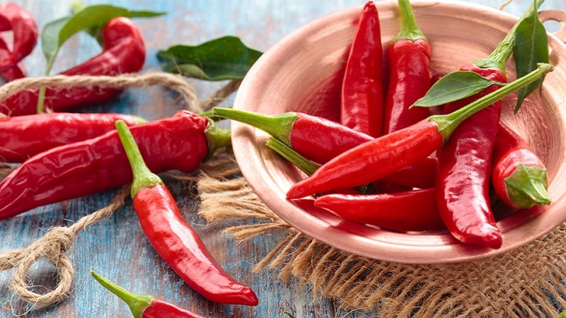 The health benefits of cayenne pepper and how to grow it correctly