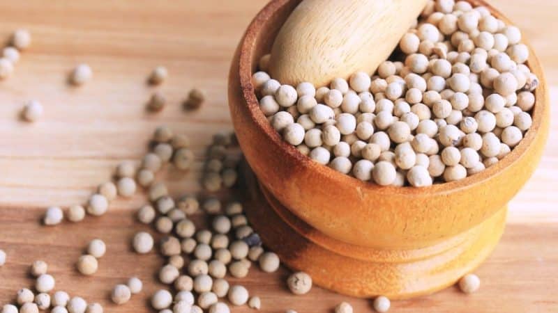 What is white pepper and how is it used in cooking, cosmetology and folk medicine?