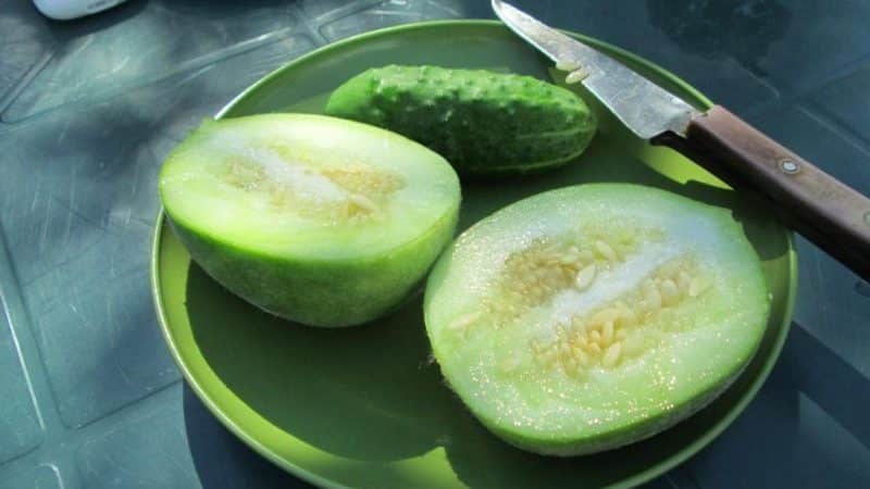 What is cucumber, how is it grown and eaten?