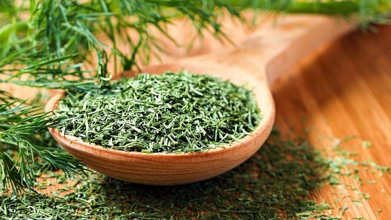 Effective dill treatment for urinary incontinence: folk recipes and dosage regimen