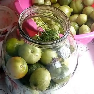 So bereiten Sie gesalzene Tomaten in Gläsern, kalt in Fässern richtig zu: Rezepte und nützliche Tipps