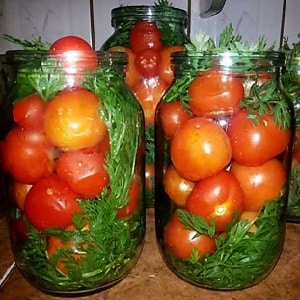 So bereiten Sie gesalzene Tomaten in Gläsern, kalt in Fässern richtig zu: Rezepte und nützliche Tipps