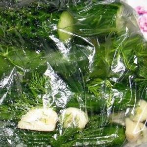 How to cook pickled cucumbers in a bag quickly and tasty