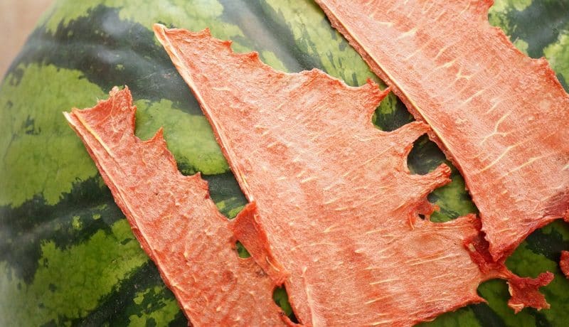 Step-by-step instructions: how to dry watermelon in an electric dryer and store the finished product