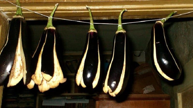 Comment sécher correctement les aubergines pour l'hiver à la maison : 3 meilleures façons