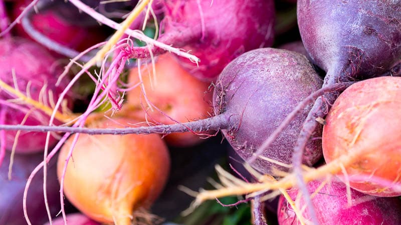 When to remove beets from the garden for storage: harvesting on time