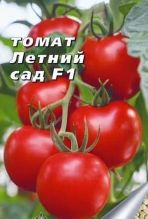 Kajian tomato hibrid awal Summer Garden f1: ulasan dari penduduk musim panas dan arahan untuk menanam hibrid