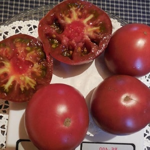 Ang Mikado tomato, na minamahal ng mga residente ng tag-araw, na may masaganang palette ng mga subspecies at malakas na kaligtasan sa sakit - pinalaki namin ito sa aming sarili nang walang abala