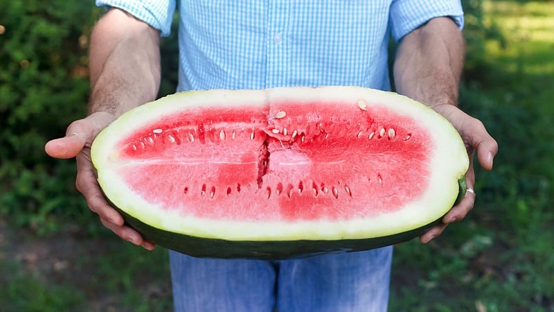 Ist es möglich, Wassermelone bei Cholezystitis und Pankreatitis zu essen?