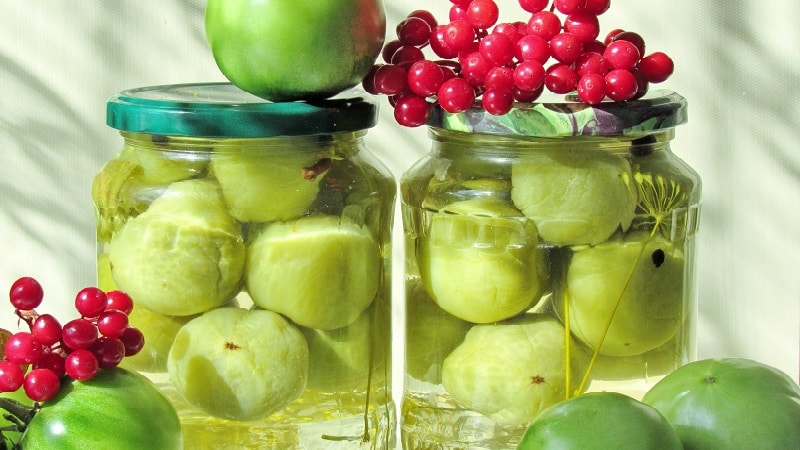 Einfache und leckere Rezepte für eingelegte grüne Tomaten: So bereiten Sie sie richtig zu und verpacken sie für den Winter