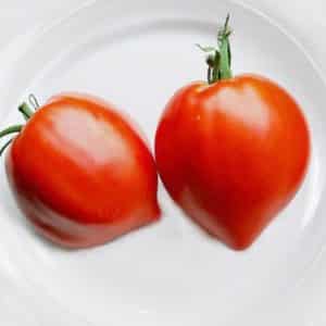 Tomatensoort Aardbeiboom - Siberische ziekteresistentie en hoge opbrengst