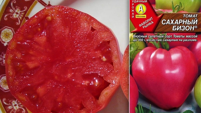 Tomate estável em rendimento e resistente a doenças Sugar bison: características e descrição da variedade