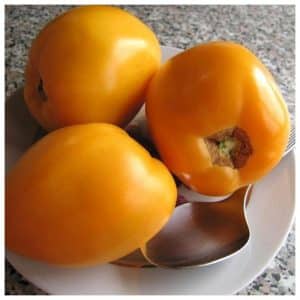 A bright representative of mid-season fruitful varieties - the Radunitsa tomato and tips for its proper cultivation