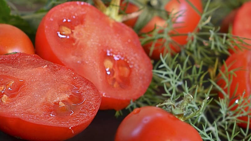 An unpretentious variety that requires minimal care - Japanese dwarf tomato