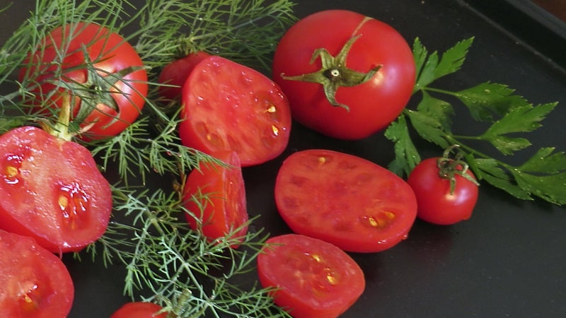 Una variedad sin pretensiones que requiere un cuidado mínimo: el tomate enano japonés