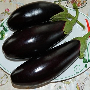 Subtilités de prendre soin de la variété d'aubergine Black Opal et ses bienfaits