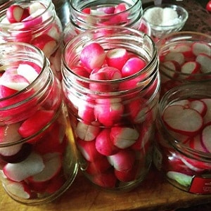 Top 8 best pickled radish recipes for the winter