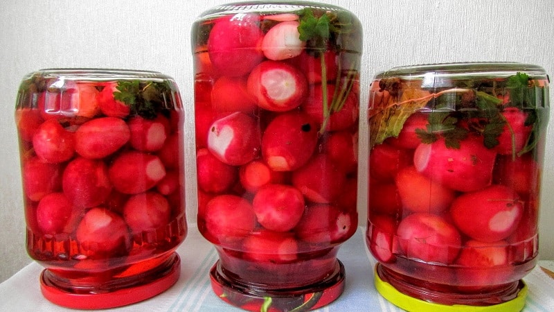 Top 8 best pickled radish recipes for the winter