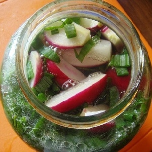 Top 8 best pickled radish recipes for the winter