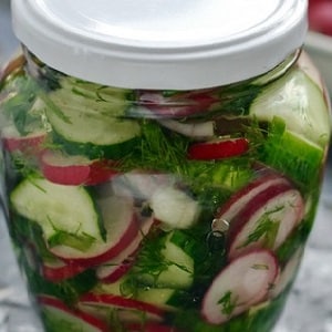 Top 8 best pickled radish recipes for the winter