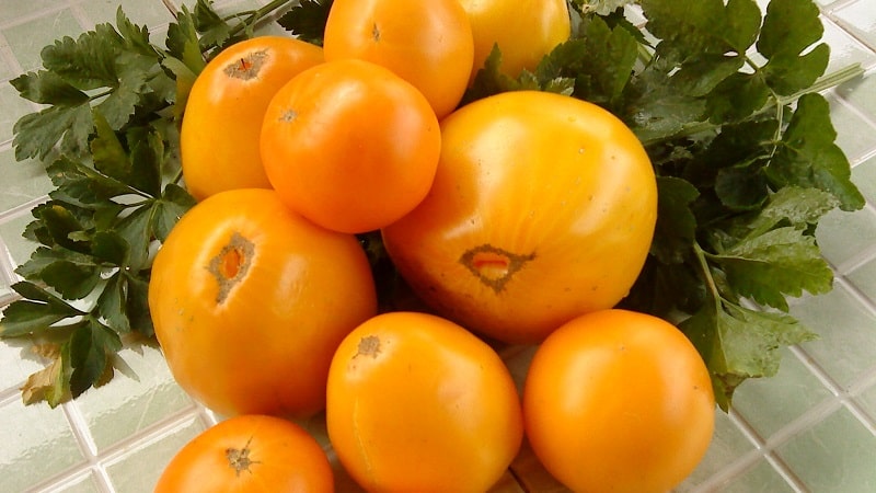 Strahlende, sonnige Medizin direkt aus dem Garten: Welche Vorteile haben gelbe Tomaten und welche Vitamine und Mineralstoffe enthalten sie?