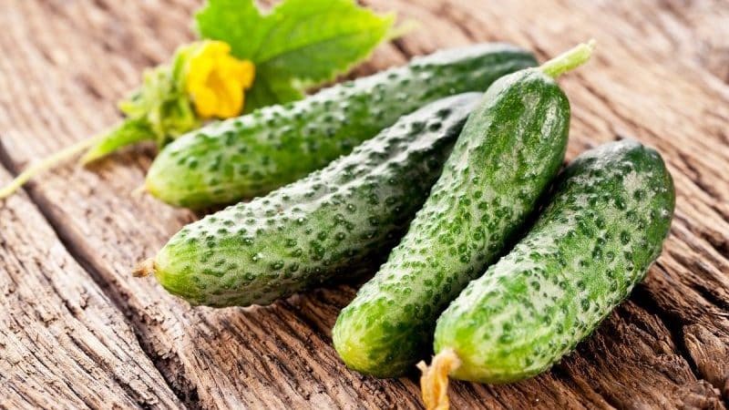 Paano mag-imbak ng mga sariwang pipino upang hindi sila masira hangga't maaari