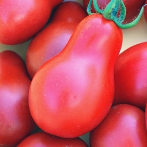 Karakteristiske kjennetegn ved fruktene av tomatsorten Pink Pear