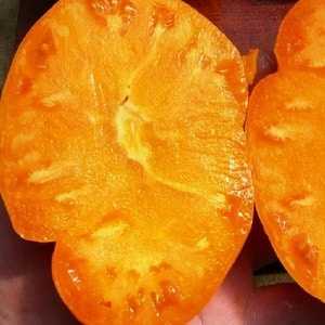 Bakit mahal na mahal ng mga magsasaka ang Orange Elephant tomato