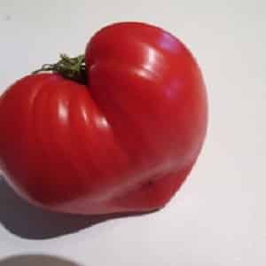 German tomato variety Vater Rhein - mainam para sa paggawa ng mga salad, juice, ketchup at iba't ibang sarsa