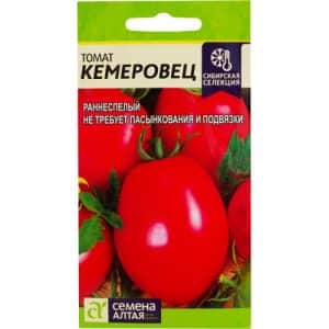 A variety that you will definitely be satisfied with - the Kemerovo tomato and the secrets of proper care for it