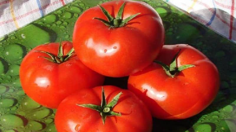 Isang malaking prutas na iba't na may kaaya-ayang lasa - ang Akulina tomato at isang sunud-sunod na gabay sa pagpapalaki nito