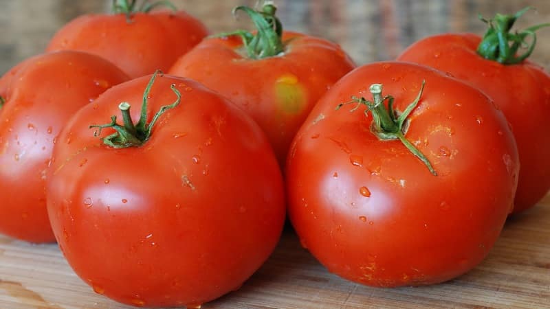 Un veterano de la selección nacional: el tomate siberiano de maduración temprana, probado en el tiempo y amado por los jardineros.