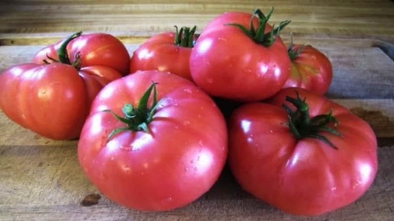 Bewertung der besten Sorten hoher Tomaten für das Freiland: Hilfe bei der Auswahl und Bewertungen von Sommerbewohnern