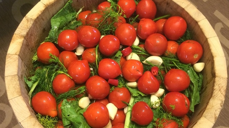 Le 10 migliori ricette per marinare i pomodori in botte, caratteristiche della preparazione dei contenitori e della conservazione dei sottaceti già pronti