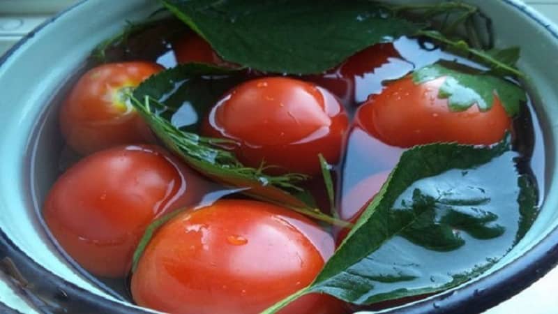 Top 10 der besten Rezepte zum Einlegen von Tomaten in einem Fass, Funktionen zum Vorbereiten von Behältern und zum Aufbewahren von fertigen Gurken