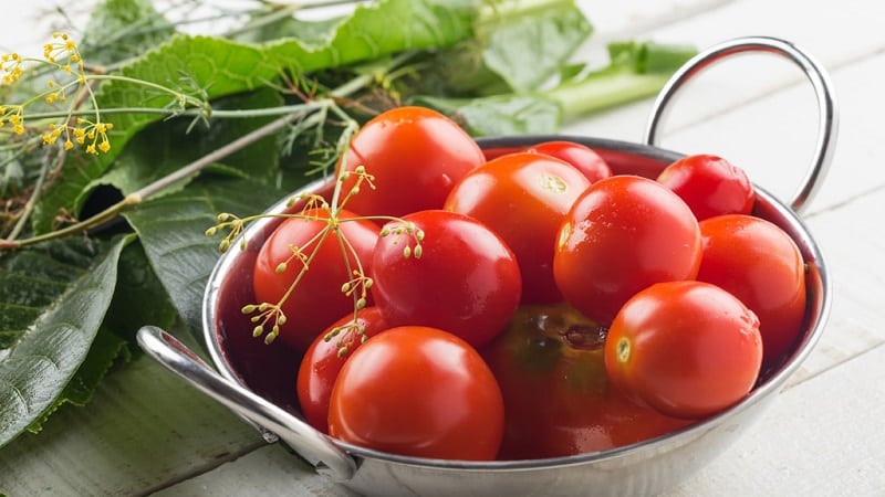 Top 10 der besten Rezepte zum Einlegen von Tomaten in einem Fass, Funktionen zum Vorbereiten von Behältern und zum Aufbewahren von fertigen Gurken