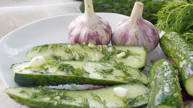 Cómo cocinar pepinos ligeramente salados en una bolsa de forma rápida y sabrosa.