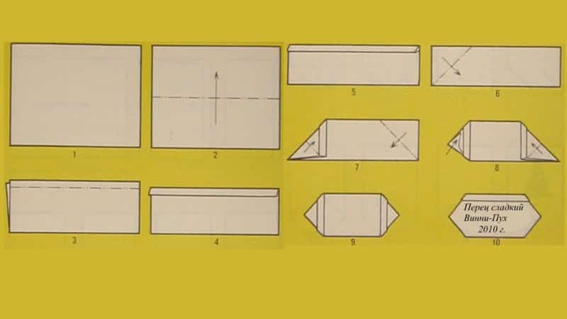 Hoe je peperzaden thuis kunt verzamelen: instructies voor het correct bereiden van zaad