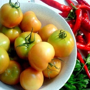 Fazemos deliciosos preparos com as próprias mãos - tomates marrons salgados: as melhores receitas e dicas de culinária