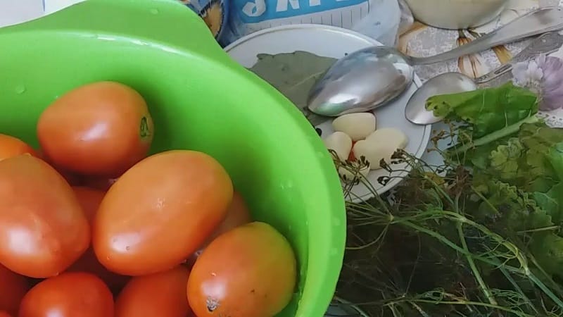 Fazemos deliciosos preparos com as próprias mãos - tomates marrons salgados: as melhores receitas e dicas de culinária