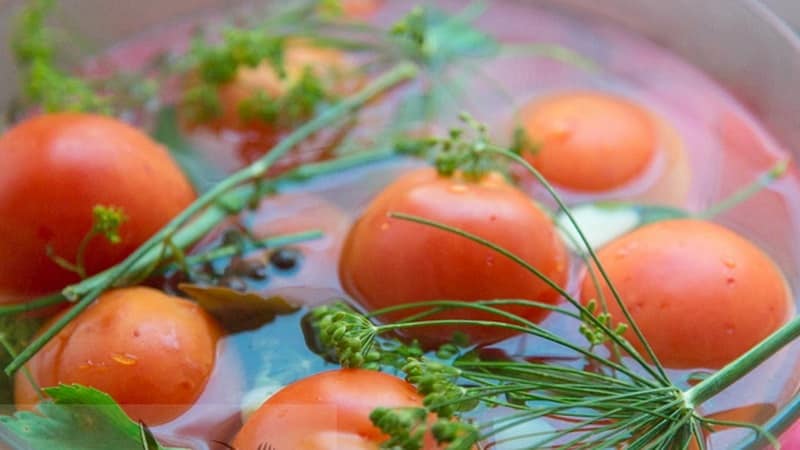 Wir bereiten köstliche Zubereitungen mit unseren eigenen Händen zu – gesalzene braune Tomaten: die besten Rezepte und Kochtipps